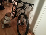 20130909_215918.jpg