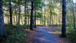 WP_20130926_001.jpg