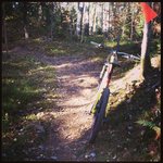 IMG_20131012_145852.jpg