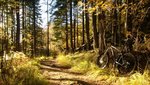 WP_20131012_017.jpg