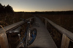 DSC00654.jpg