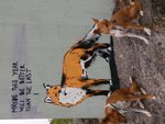 DSC_0013.jpg
