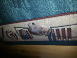 20131108_223921.jpg