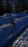 2013-02-03 11.45.41.jpg