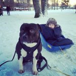 IMG_20121202_150258.jpg