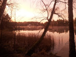 Morgonbild1.jpg