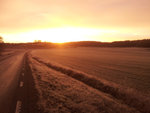 Morgonbild3.jpg