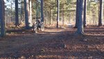 DSC_0133.jpg