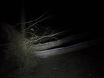 20131206_173926.jpg