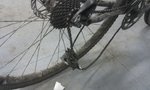 IMAG0329.jpg