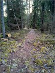 20131222_131129.jpg