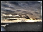 IMG_0772.JPG