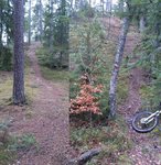 DSC_0014.jpg