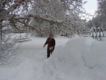 IMG_3894.jpg