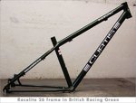 rl26main[1].jpg