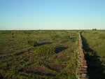 IMGP0217.JPG