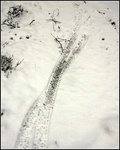 20140111_123521.jpg