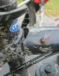 IMG_121450554823898_1.jpg