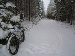 IMG_1629.JPG