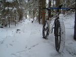 IMG_1634.JPG