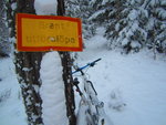IMG_1645.JPG