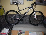 Bild 241.jpg