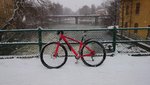 DSC_0365.JPG
