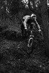 DSCF6987a.jpg