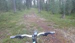 DSC01313.JPG