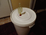 beer1.gif