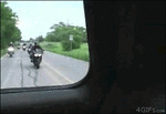 best-gifs-13-over-the-handle-bar-crotch-rocket.gif
