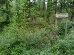 SP_A0658.jpg
