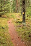 IMG_9371K.jpg