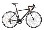 RR-Pro-Ane-CP.jpg
