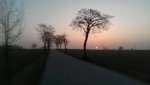 IMAG0287.jpg