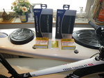 Bild 403.jpg