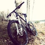 cukel mot treed.jpg