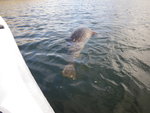 Bild 4092.jpg
