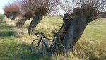 DSC_0240.JPG