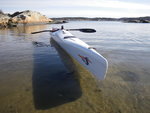 Bild 4105.jpg