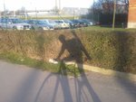 20140403_074815.jpg