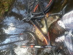 20140419_143226.jpg
