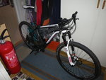 Bild 475.jpg