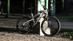DSC00311.jpg
