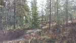 20140503_101144.jpg