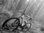20140511_131446 1.jpg