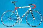 Teamreplica.gif