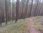 20140413_143309.jpg