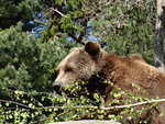 DSC00463.JPG