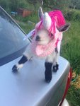 goaticorn.jpg